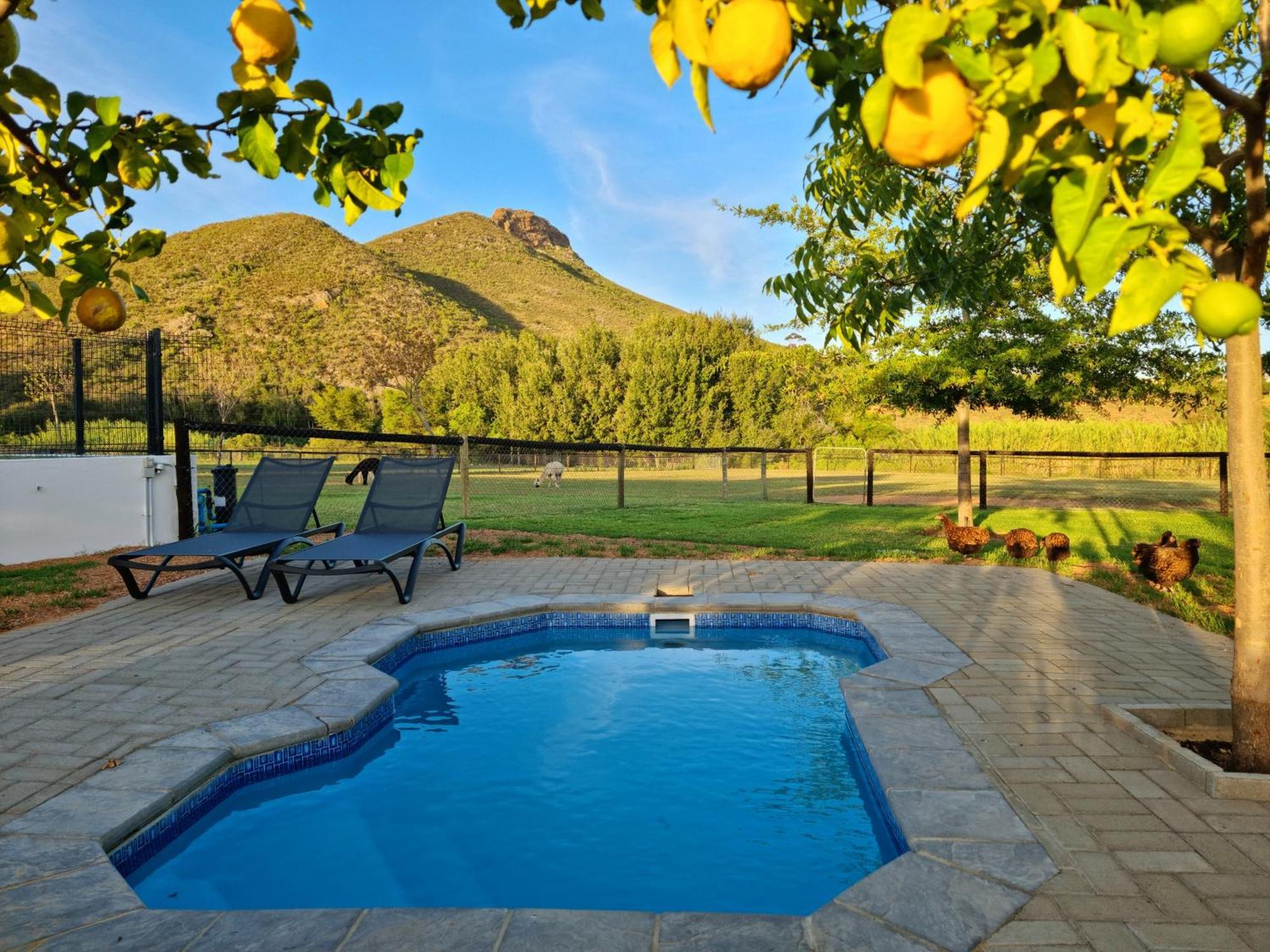 Klawerjas Flute Cottage Robertson Dış mekan fotoğraf