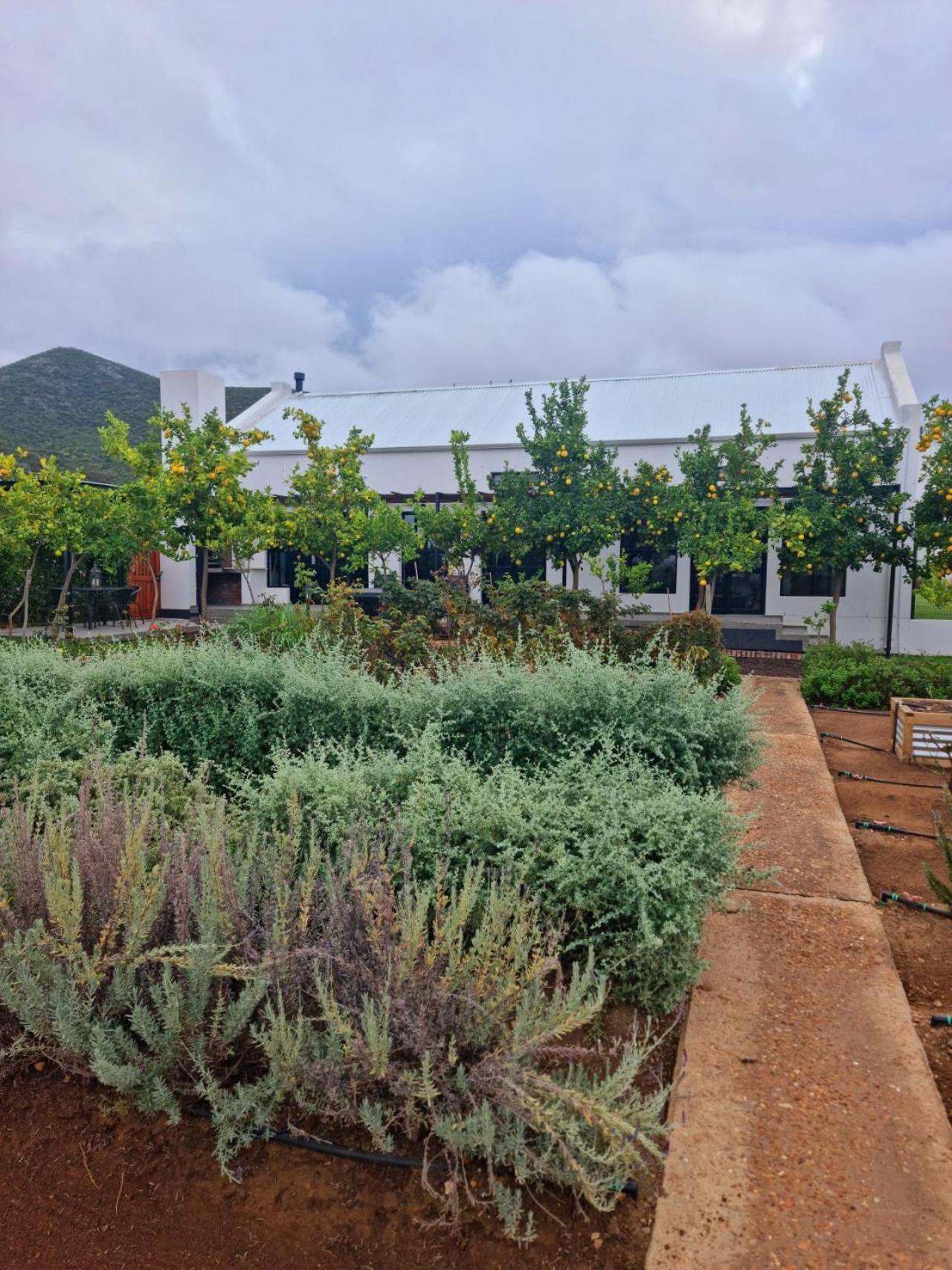 Klawerjas Flute Cottage Robertson Dış mekan fotoğraf